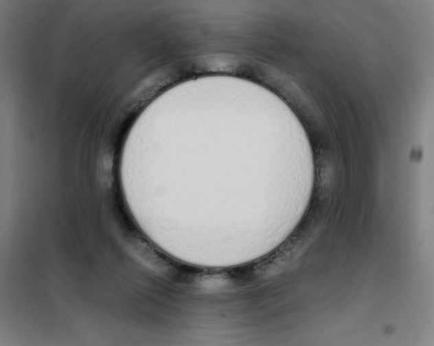 X0000101390262200808041024
