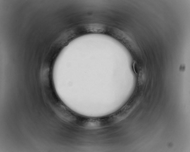 X0000101390263200808041024