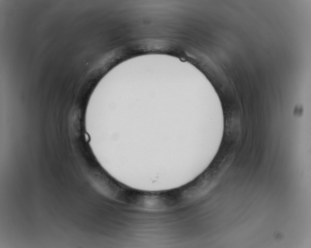 X0000101390264200808041024