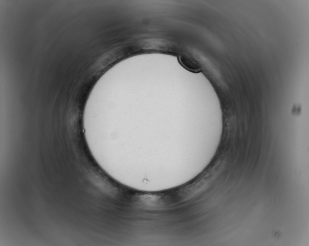 X0000101390265200808041024
