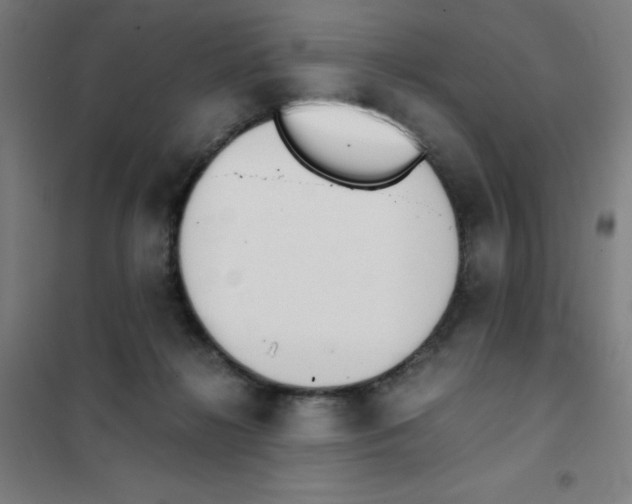 X0000101390268200808041024