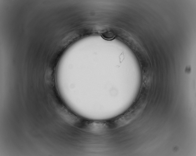 X0000101390270200808041024