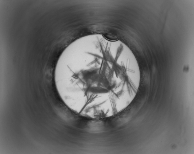 X0000101390271200808041024