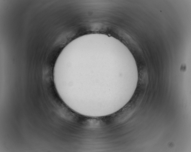 X0000101390272200808041024