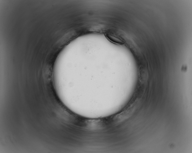X0000101390273200808041024