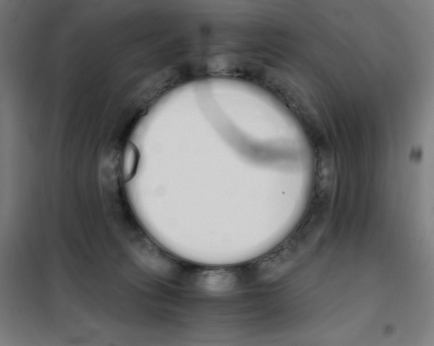 X0000101390275200808041024