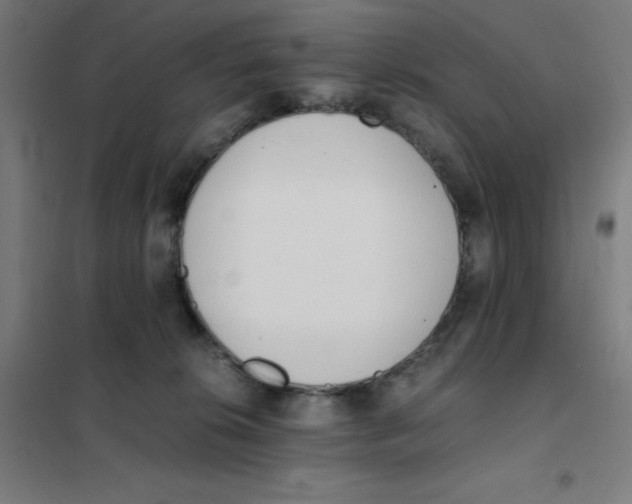 X0000101390276200808041024