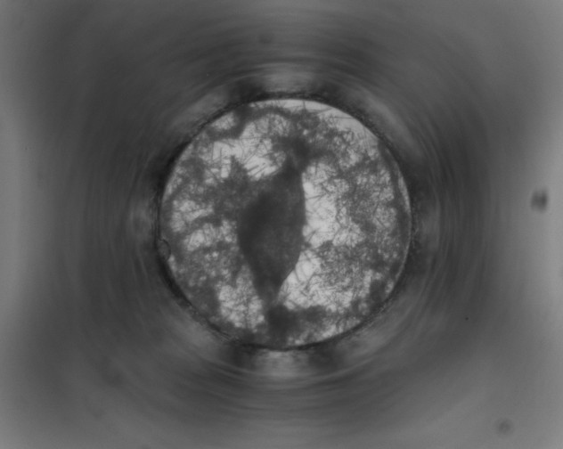 X0000101390277200808041024