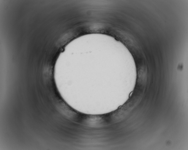 X0000101390278200808041024