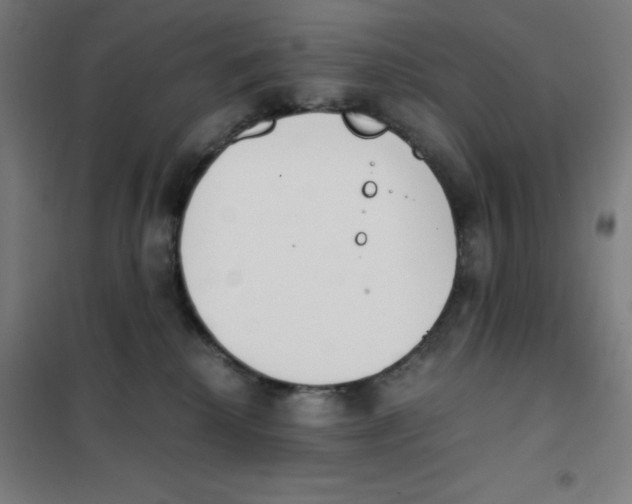 X0000101390280200808041024