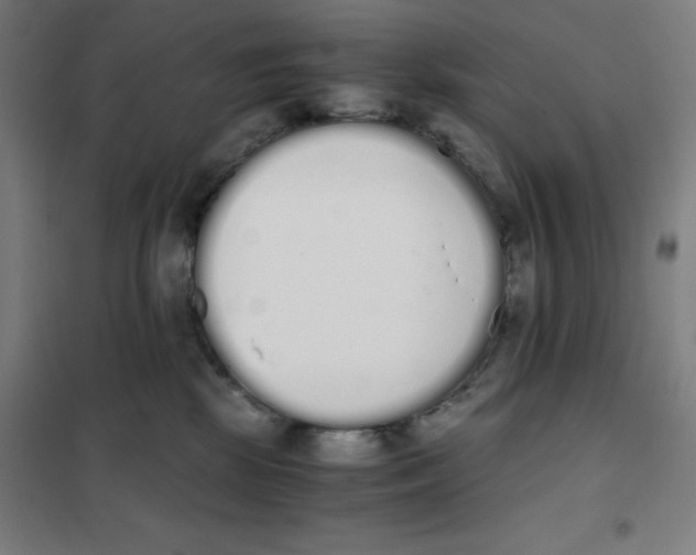 X0000101390281200808041024