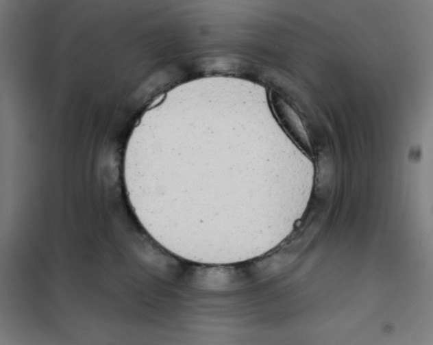 X0000101390282200808041024