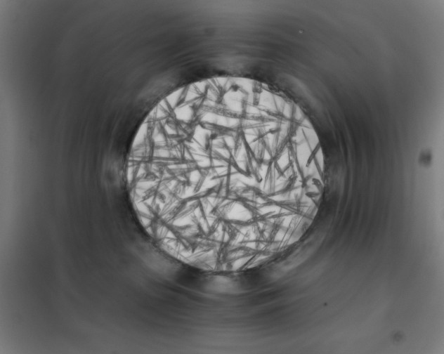 X0000101390285200808041024