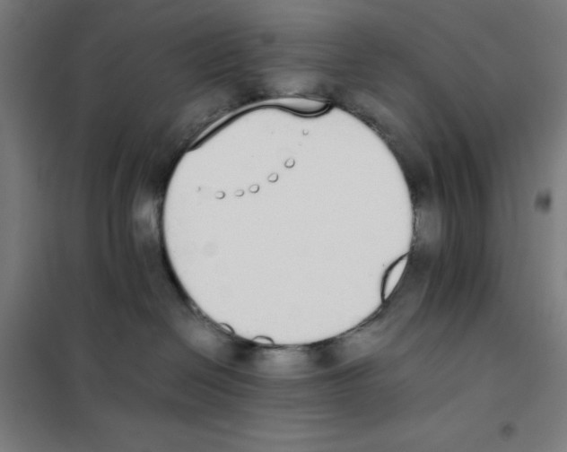X0000101390286200808041024