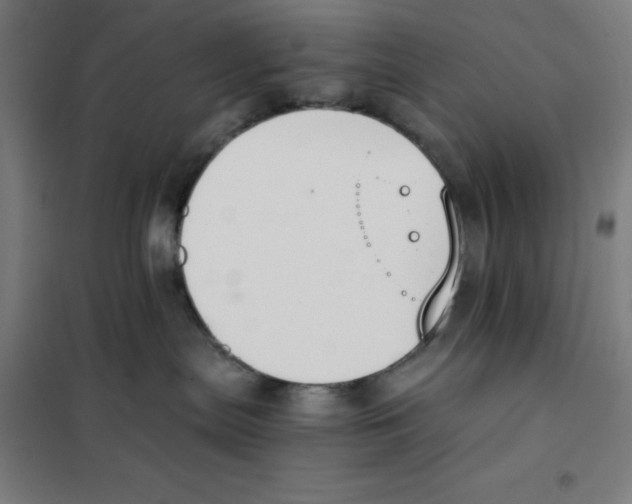 X0000101390287200808041024