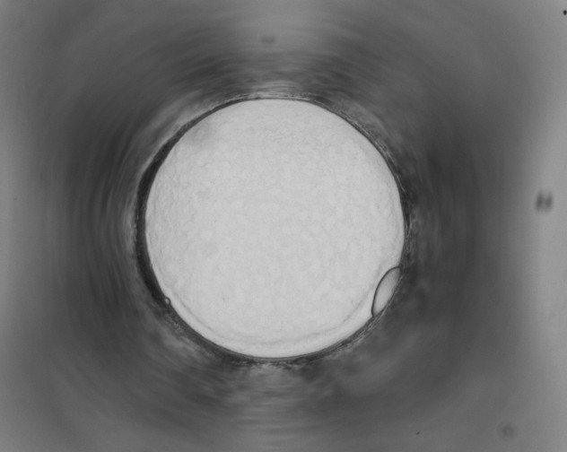 X0000101390290200808041023