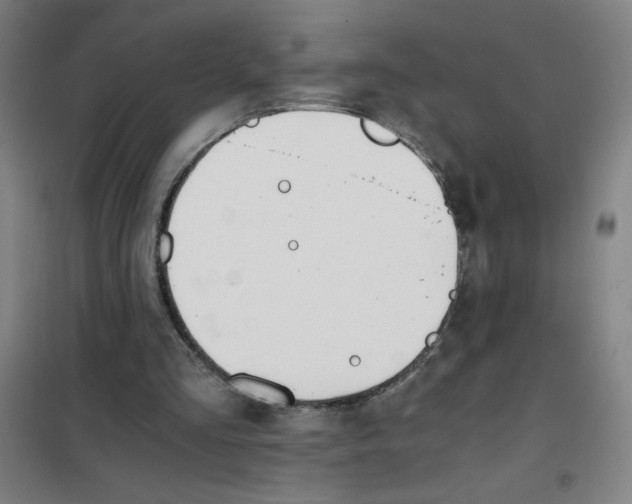 X0000101390293200808041023