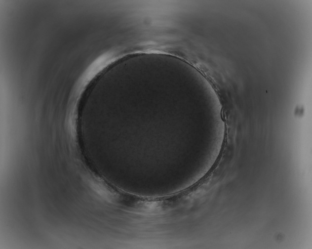 X0000101390295200808041023