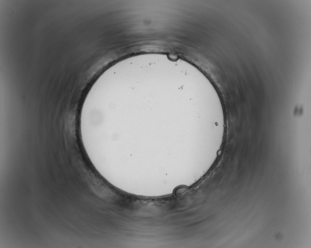 X0000101390297200808041023