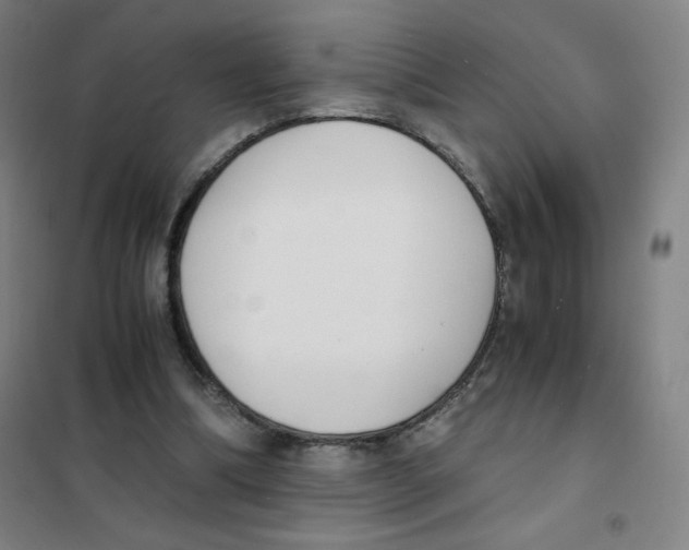 X0000101390298200808041023