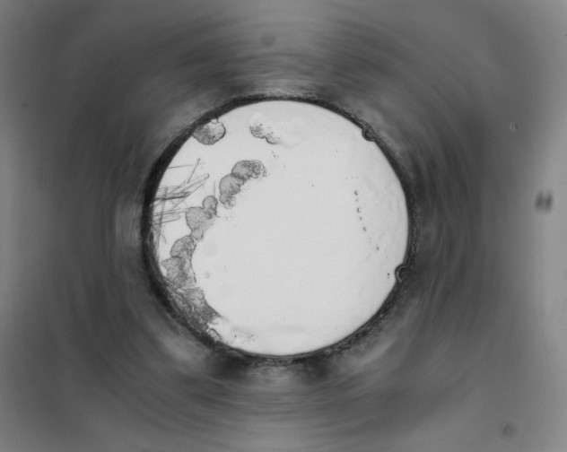 X0000101390299200808041023