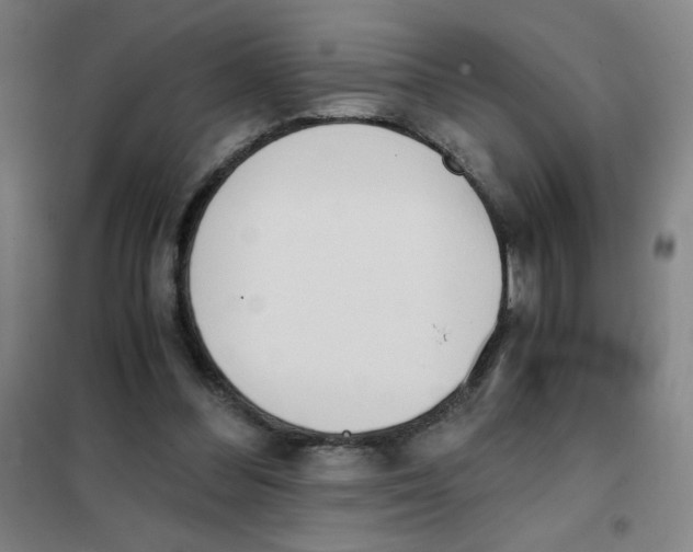 X0000101390300200808041023