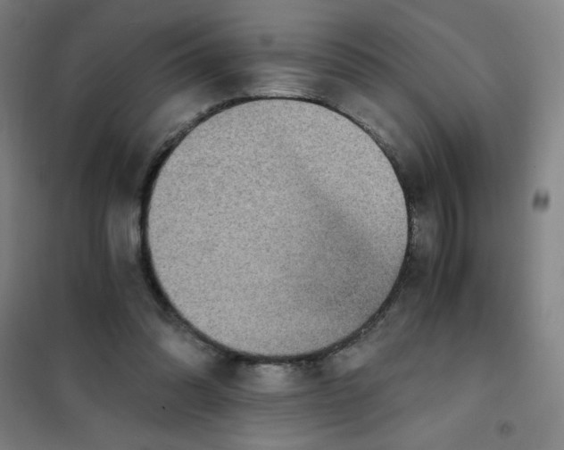 X0000101390302200808041023