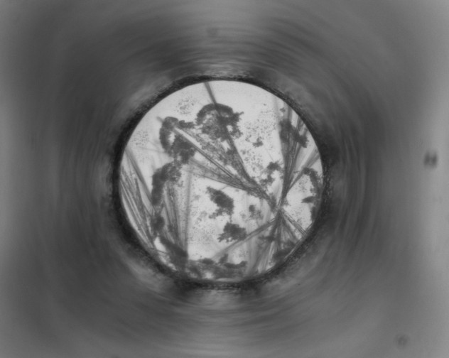 X0000101390303200808041023