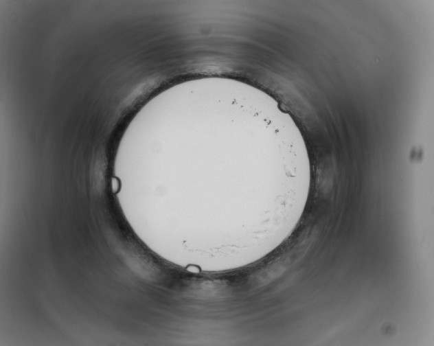 X0000101390304200808041023