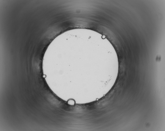 X0000101390305200808041023