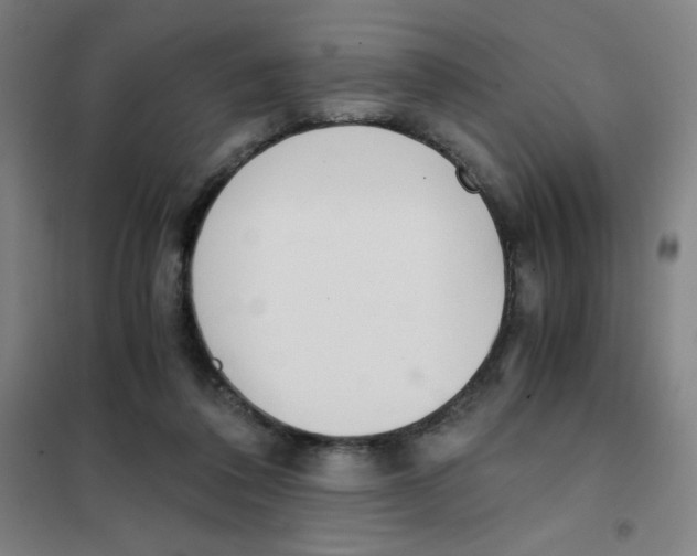X0000101390308200808041023
