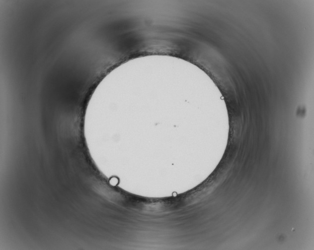 X0000101390309200808041023