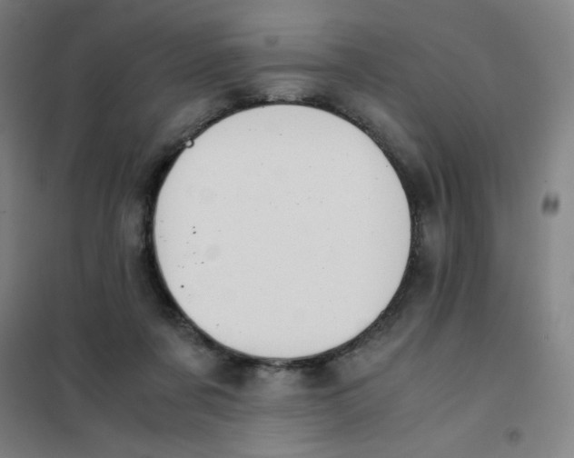 X0000101390311200808041023