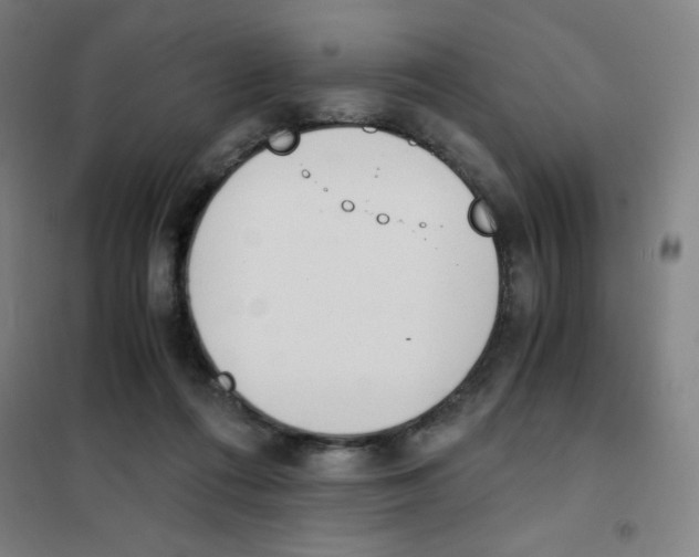X0000101390312200808041023
