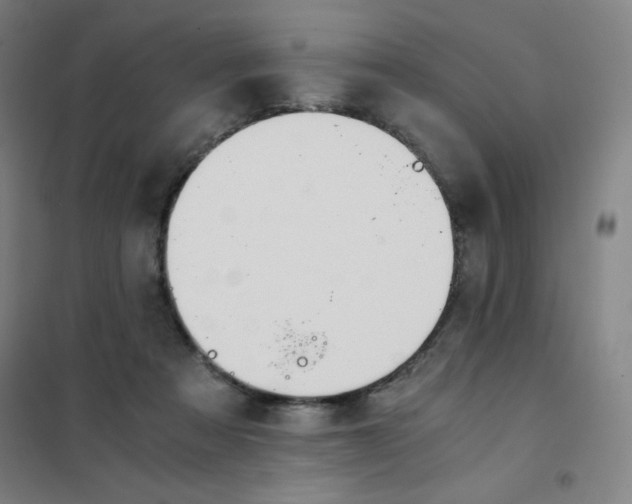 X0000101390313200808041023