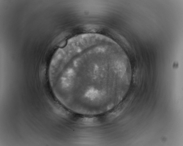X0000101390314200808041023