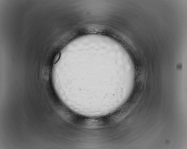 X0000101390315200808041023