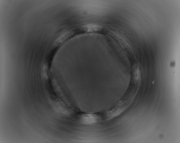 X0000101390316200808041023