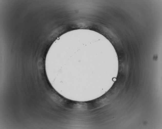 X0000101390317200808041023