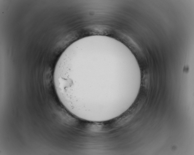 X0000101390318200808041023