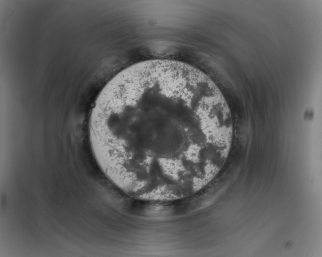 X0000101390319200808041023
