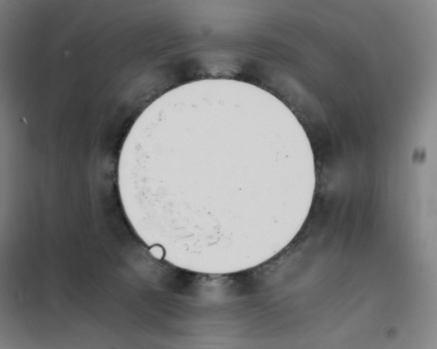 X0000101390321200808041023