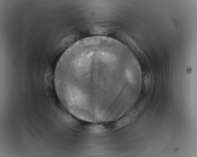 X0000101390322200808041023