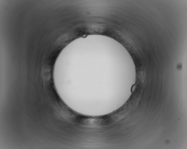 X0000101390323200808041023