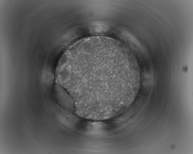 X0000101390324200808041023