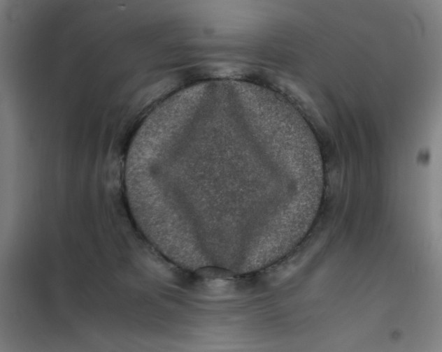 X0000101390325200808041023