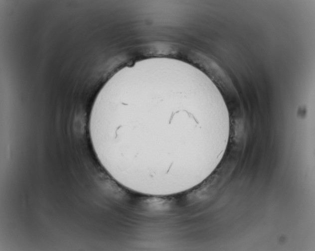 X0000101390326200808041023