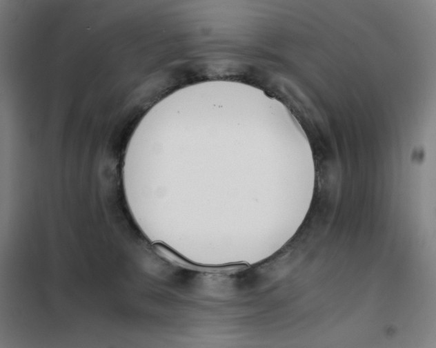 X0000101390327200808041023
