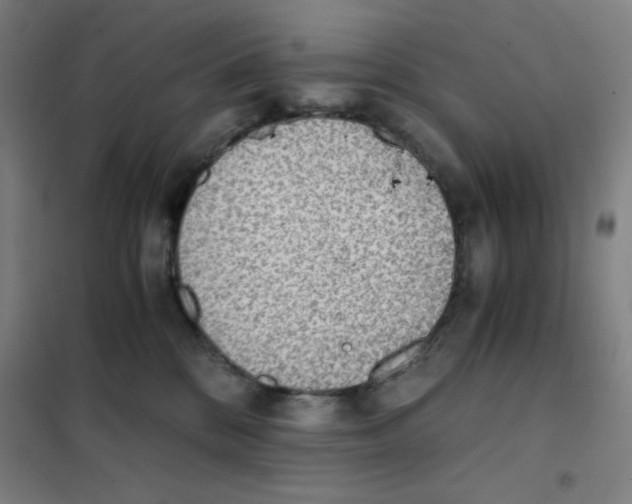 X0000101390328200808041023