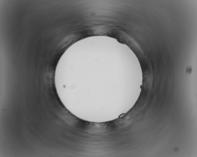X0000101390329200808041023